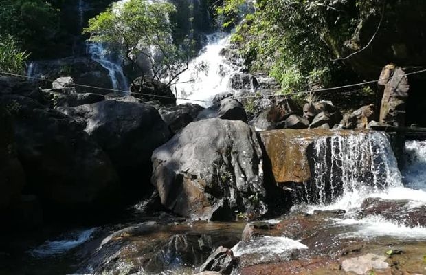 Phong Nha Botanic Garden